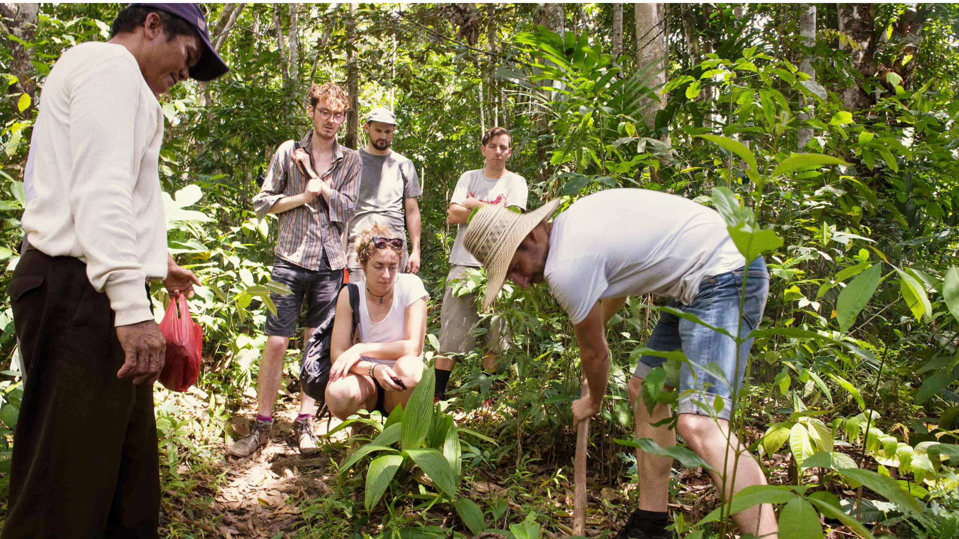 Move Over Google Meet The Founder Aiming To Plant A Billion Trees - reading